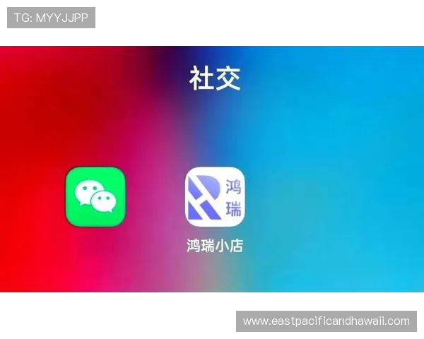 v体育游戏官网最新版本下载地址及详细操作指南，帮助玩家轻松畅享体育盛宴