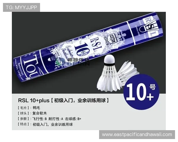 球速体育装备选购指南选择专业球速体育装备提升训练效果的实用技巧