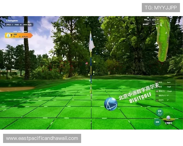 7m体育会员制度详解助你享受专属优惠和个性化定制服务